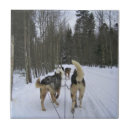 Suche nach schlitten fliesen Winter