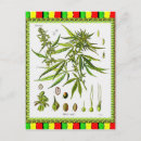 Recherche de marley cartes postales Illustration