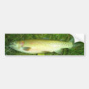 Suche nach forellen autoaufkleber Fischen