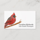 Suche nach kardinal visitenkarten Roter vogel