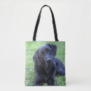 Suche nach schwarzer labrador taschen Niedlich