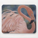 Recherche de marais tapis souris Rose