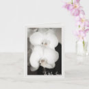 Suche nach orchideen blume karten Liebe