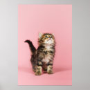 Recherche de nosy posters Animaux mignons