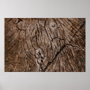 Suche nach rinder poster Dekorativ