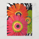 Recherche de gerberas invitations Marguerite