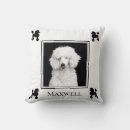 Recherche de de caniche coussins Amoureux des chiens