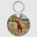 Recherche de humour de cheval porteclés Amateurs de chevaux