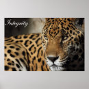 Suche nach integrität poster Inspirierend