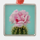 Suche nach rosa pfingstrose ornamente Pfingstrosen