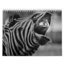 Suche nach zebra kalender Tier