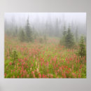 Suche nach kanada reise poster Nationalpark