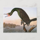 Suche nach vogelkunde postkarten Großhändler
