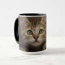 Recherche de caractéristique tasses Les etats unis