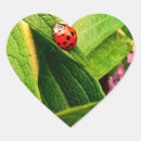 Suche nach ladybird aufkleber Natur