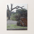 Recherche de arbre mort Nature