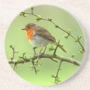 Recherche de robin dessous de verres Animaux