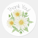 Recherche de marguerite blanche autocollants Aquarelle
