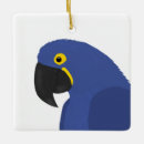 Recherche de perroquet bleu ornements Animaux