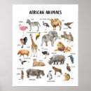 Recherche de ressources éducatives posters Apprentissage