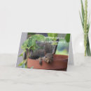 Suche nach plant Natur