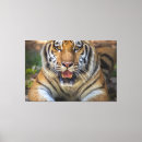 Suche nach wildkatzen leinwandbilder Tiger