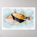 Suche nach trigger poster Fische