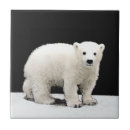 Recherche de polaire carreaux Neige