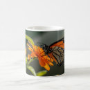 Recherche de papillons oranges tasses Mignon