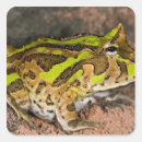 Recherche de vertèbre autocollants Faune