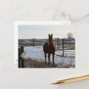 Recherche de chevaux neige cartes postales Équin