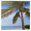 Recherche de aruba carreaux Dehors