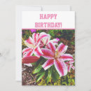Recherche de lillies photographie Pour elle