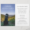 Recherche de canin prospectus Chien