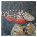 Recherche de marine carreaux Rouge