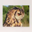 Suche nach raubvögel puzzle Greifvögel