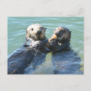 Recherche de loutres cartes postales Faune
