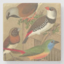 Suche nach bunte vögel untersetzer Vintag