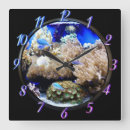 Recherche de aquarium horloges Tropical