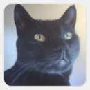 Recherche de whisky autocollants Animal