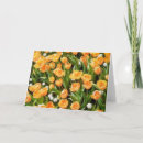 Suche nach orange blumen karten Natur