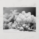 Recherche de cloud cartes postales Black