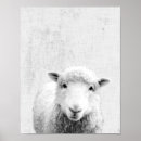 Recherche de animaux ferme bébé posters Neutre