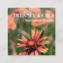 Recherche de fleuriste photographie Botanique