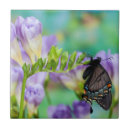 Suche nach monarchfalter fliesen Lila