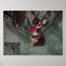 Recherche de attente art Rose