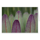 Recherche de motif symétrique cartes postales Vert