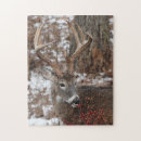 Recherche de cerfs communs puzzles Chasse
