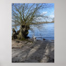 Suche nach jack russell terrier poster Hund