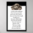 Recherche de humour de citation de chien art Pour tous